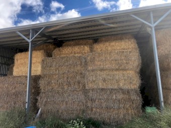 2020 Barley Straw 8x4x3