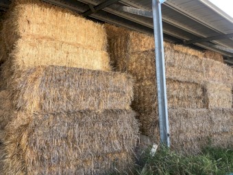 2020 Barley Straw 8x4x3