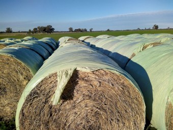 Wheaten Hay 5x4 Rolls. Wrapped for weather protection (Not silage)