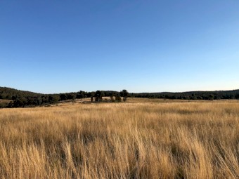 Farm for Lease (1180 acres)