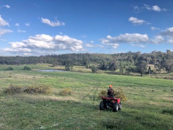 Farm for Lease (1180 acres)