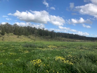 Farm for Lease (1180 acres)