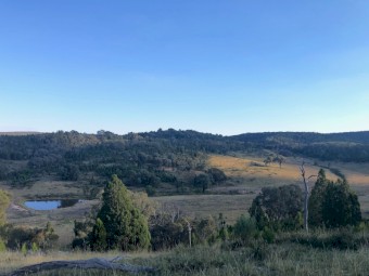 Farm for Lease (1180 acres)