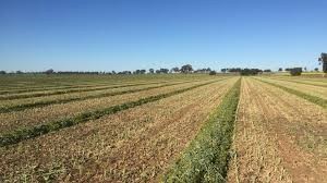 400mt Quality Oaten Hay