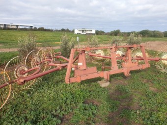 Rake Hay Sitrex RP-5 a 10 Wheel Rake
