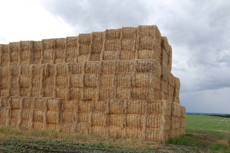 300mt Cereal Straw 500kg 8x4x3 Bales