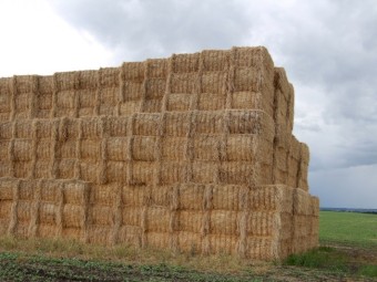 300mt Cereal Straw 500kg 8x4x3 Bales