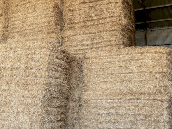 300T  Oaten Hay 800kg 8x4x4 Bales