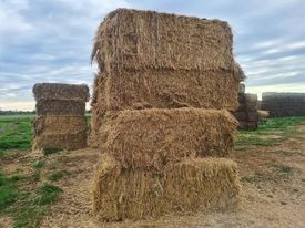 Barley/Vetch Hay 8x4x3 Bales