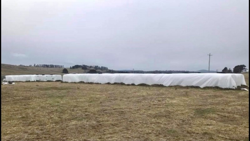 330 bales x Wheaten Silage 6x4x4 Bales