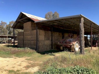 Lucerne Clover Hay 300 Bales 8x4x3