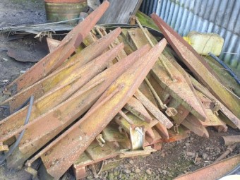 Headship Sunflower Trays