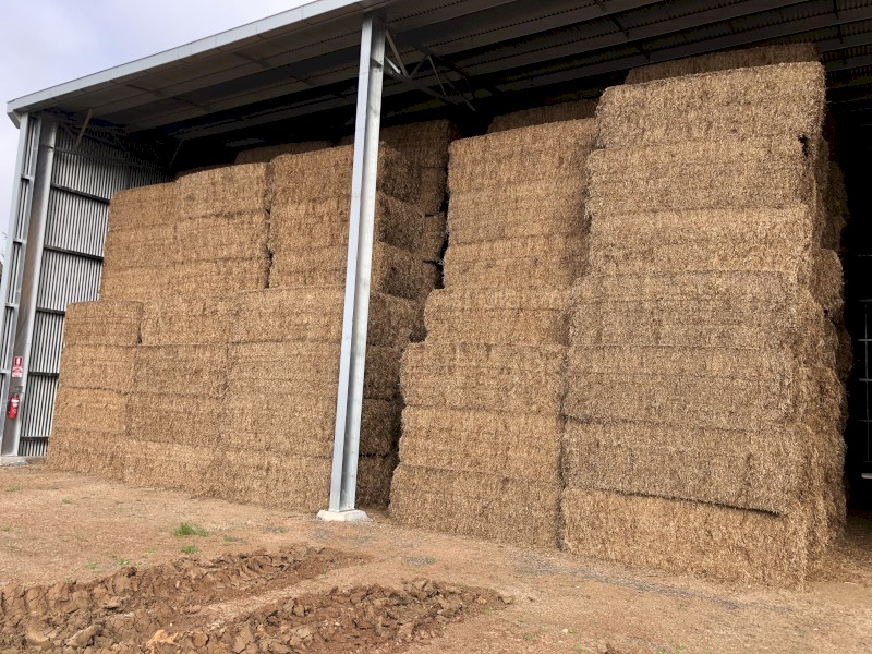 Vetch Hay 600kg 8x4x3 Bales