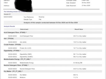 Vetch Hay 600kg 8x4x3 Bales