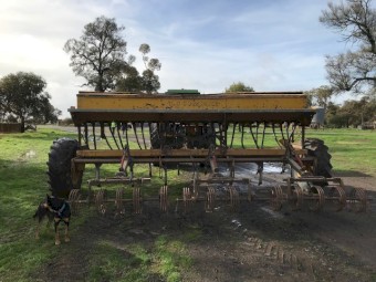 Connor Shea 28 Tyne Combine