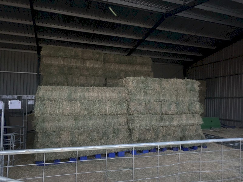 Lucerne Hay Small Bales