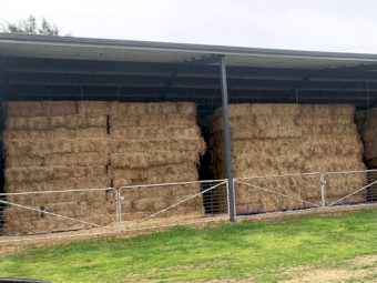 Lucerne Hay Small Bales