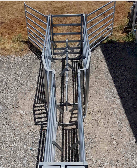 Double feed up race for sheep handler - Offsider Ag