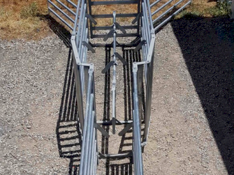 Double feed up race for sheep handler - Offsider Ag