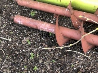 AUGER CLAAS HEADER UNLOADING OR PROJECT