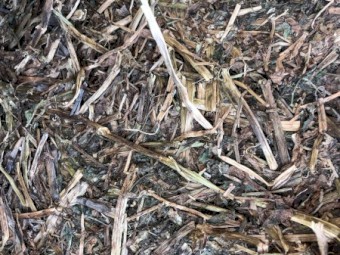 350mt Shedded Vetch Hay