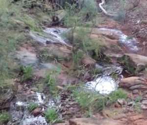 Residential Farmland Unwooded Investment/Weekender...