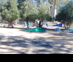 Residential Farmland Unwooded Investment/Weekender...