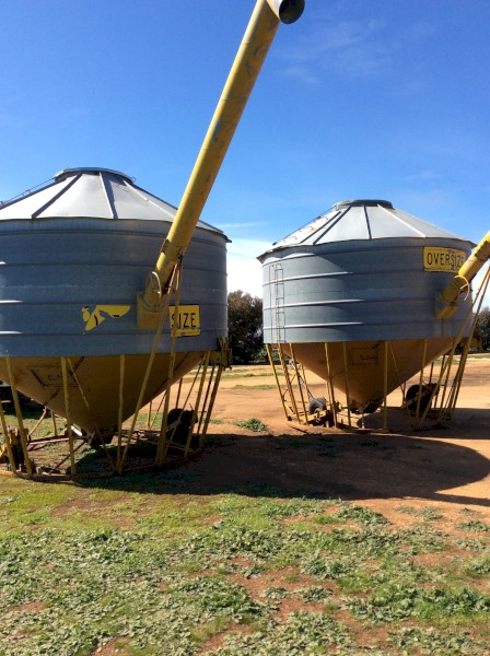 Keoghan Grain Handling Field Bins