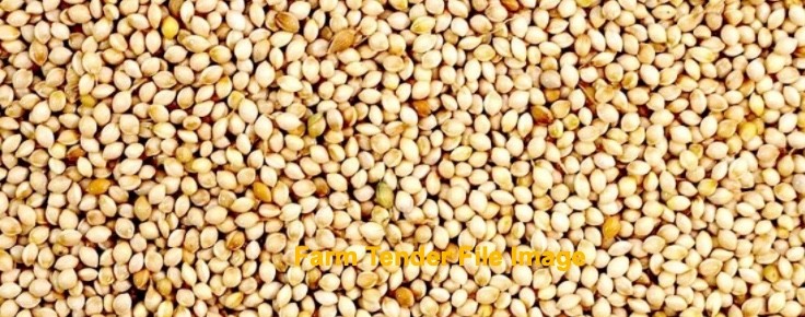 WANTED White French Millet QLD & NSW