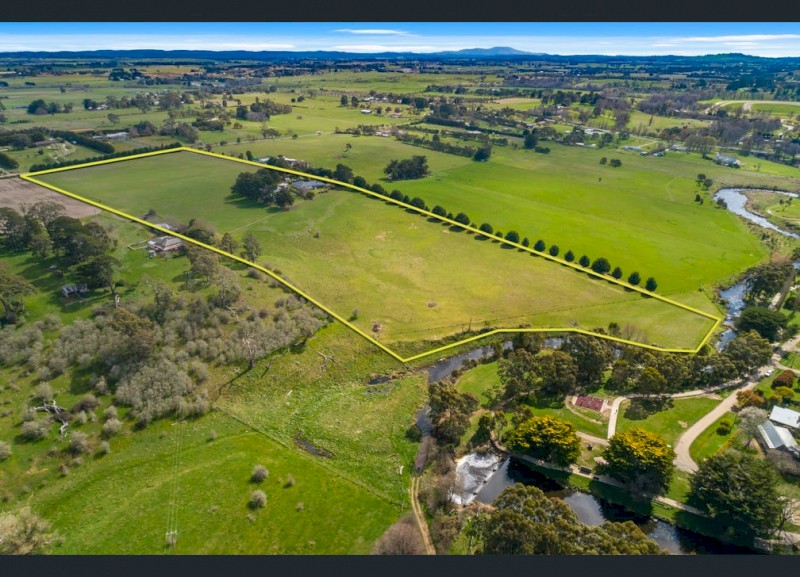 Sheep Agistment Available 20 acres (2 paddocks)