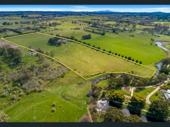 Sheep Agistment Available 20 acres (2 paddocks)