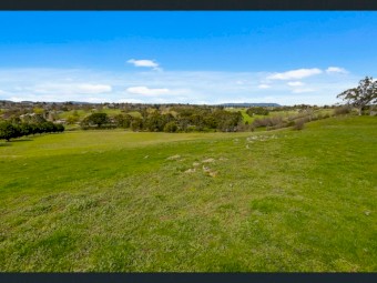 Sheep Agistment Available 20 acres (2 paddocks)