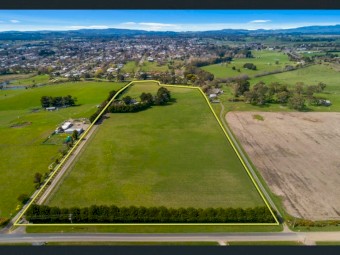 Sheep Agistment Available 20 acres (2 paddocks)