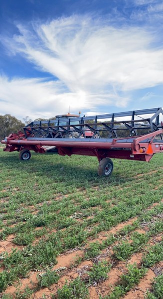 Case 8230 windrower