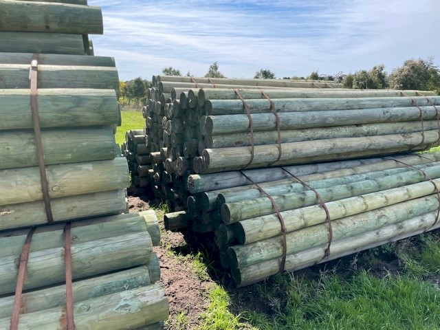 New Peeled Posts, 3.0M