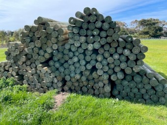 New Peeled Posts, 3.0M