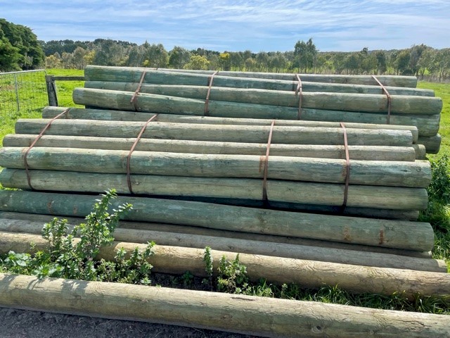 New Peeled Posts, 3.6M