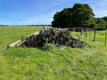 New Peeled Posts, 3.6M