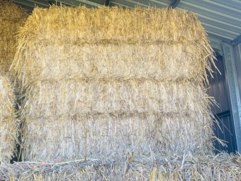 Vetch/ Oat / wheat Hay 