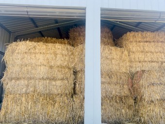 Vetch/ Oat / wheat Hay 