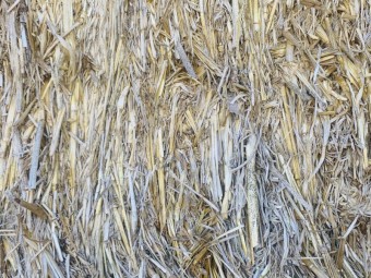 Vetch/ Oat / wheat Hay 
