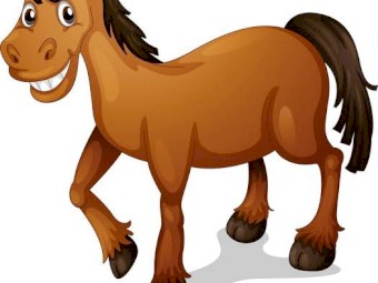 Wanted Quarter Horse or stock horse 