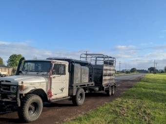 WTB LANDCRUISER $250 FINDER FEE