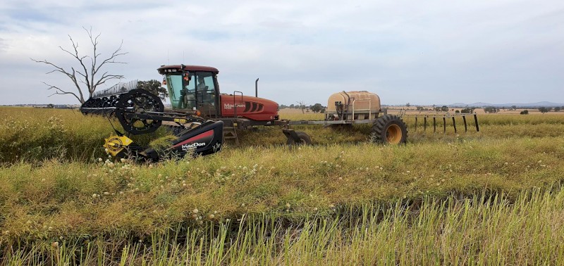2014 M155  Macdon Swather