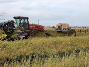 2014 M155  Macdon Swather