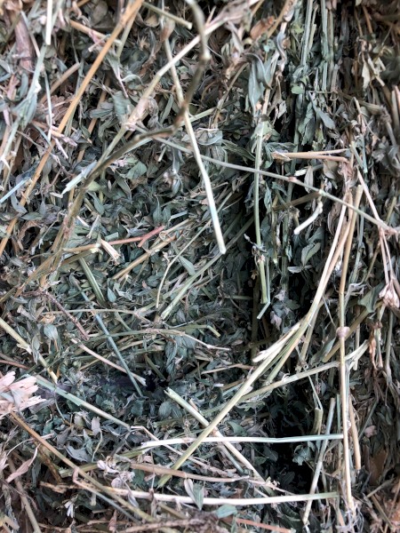 Lucerne Hay 680kg 8x4x3 Bales