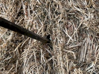 Lucerne Hay 680kg 8x4x3 Bales