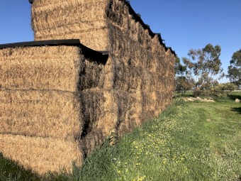 Lucerne Hay 680kg 8x4x3 Bales