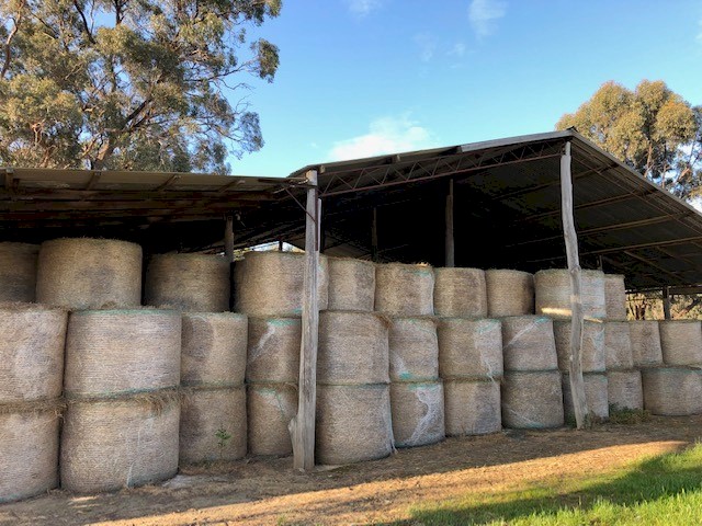 Clover & Rye Hay (Round Bales)