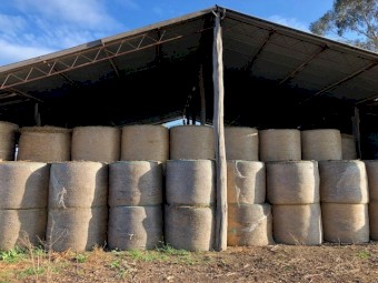Clover & Rye Hay (Round Bales)